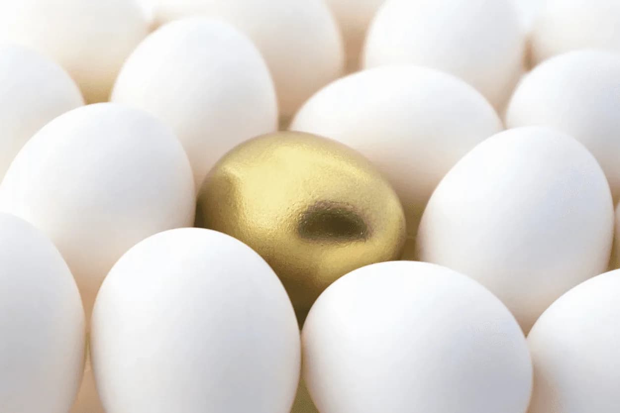Golden egg standing out among white eggs symbolising uniqueness and premium value