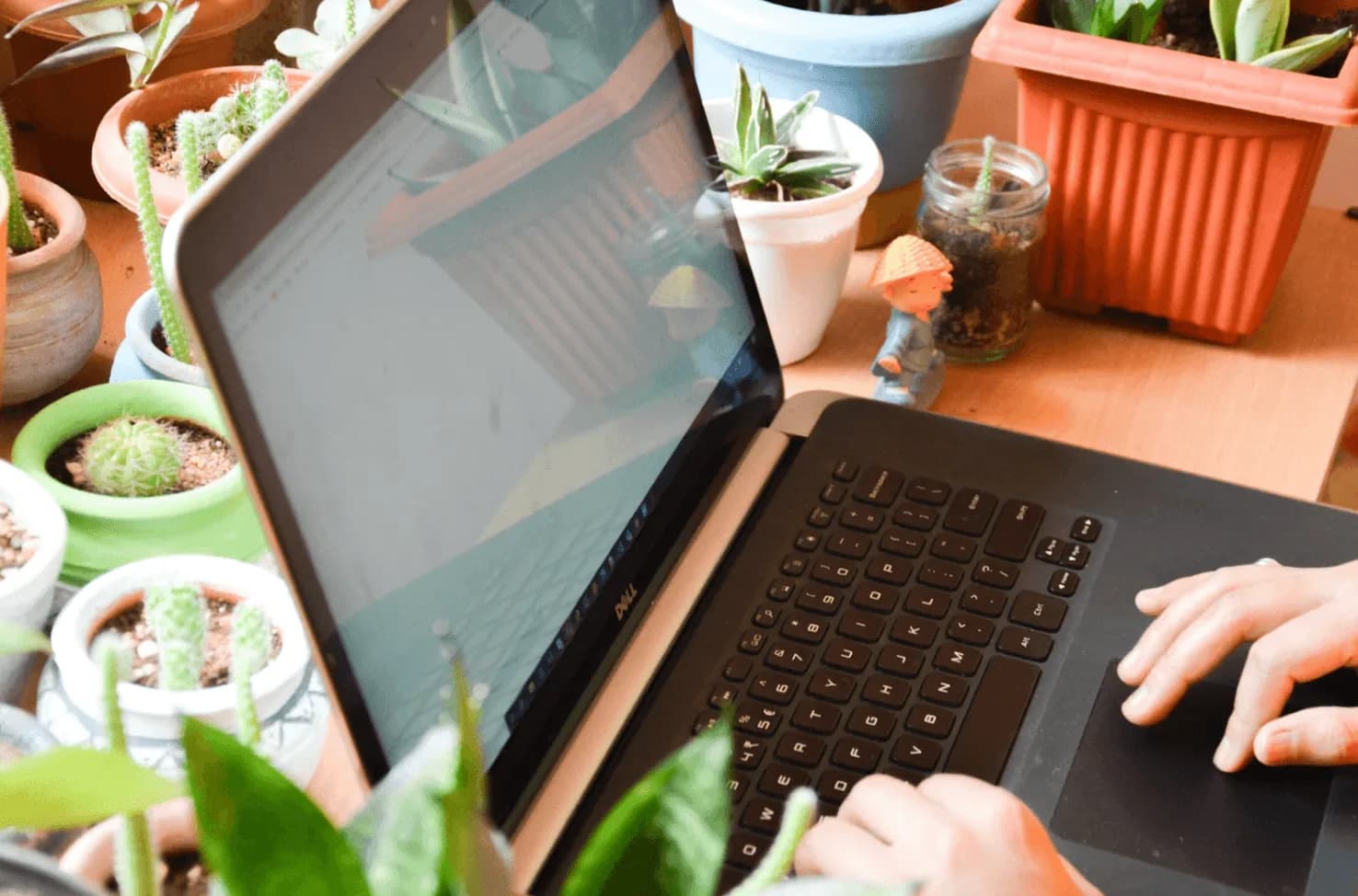 Hands typing on a laptop surrounded by plants, representing the need for smarter, unified Amazon ad management that prevents fragmented campaign control.
