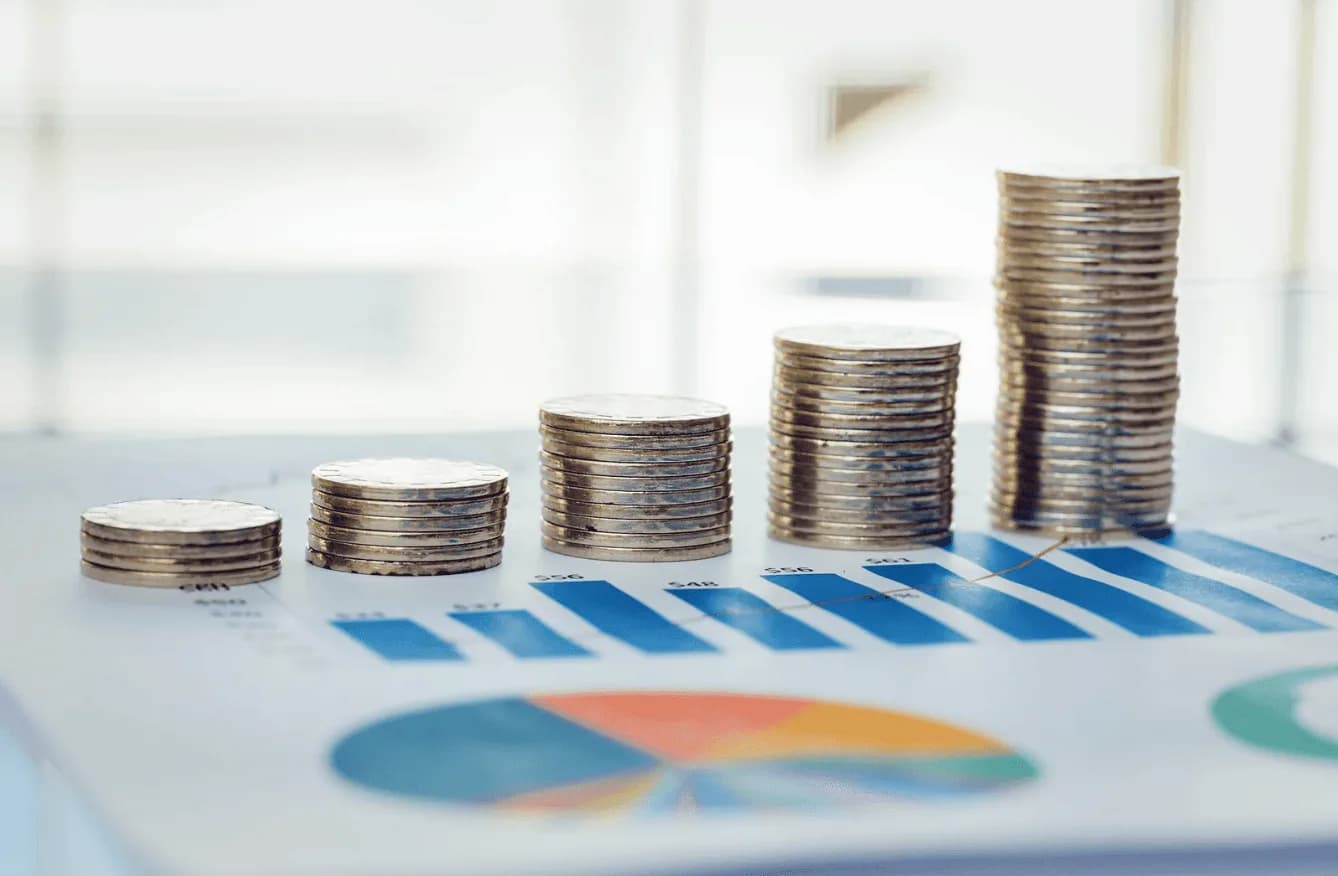 Stacks of coins increasing in height on top of financial charts, symbolising higher ROI from smarter PPC budget allocation.